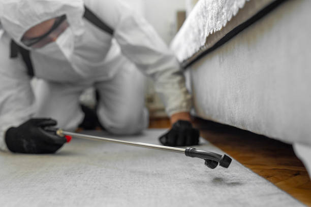 Professional Bed Bug Control technician working in Wyandotte, MI