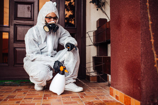 Reliable Bed Bug Control contractor in Wyandotte, MI by Nex Pest Control