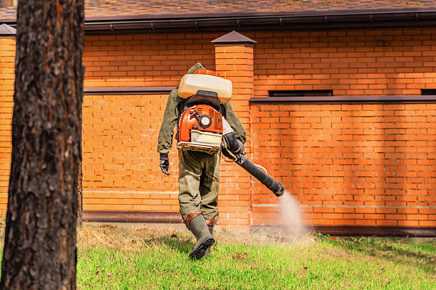 Trusted Cockroach Control service in Wyandotte, MI - Nex Pest Control